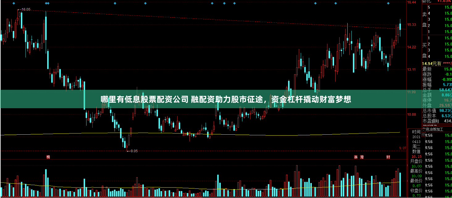 哪里有低息股票配资公司 融配资助力股市征途，资金杠杆撬动财富梦想