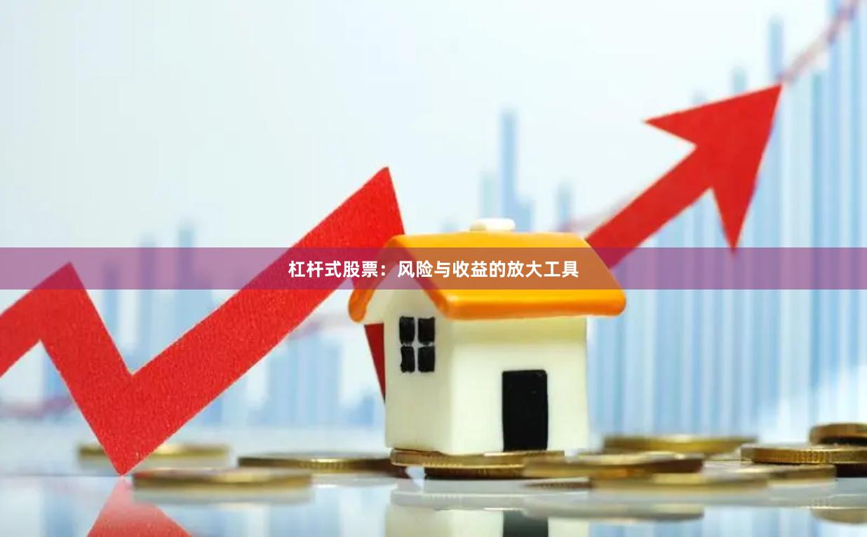 杠杆式股票：风险与收益的放大工具